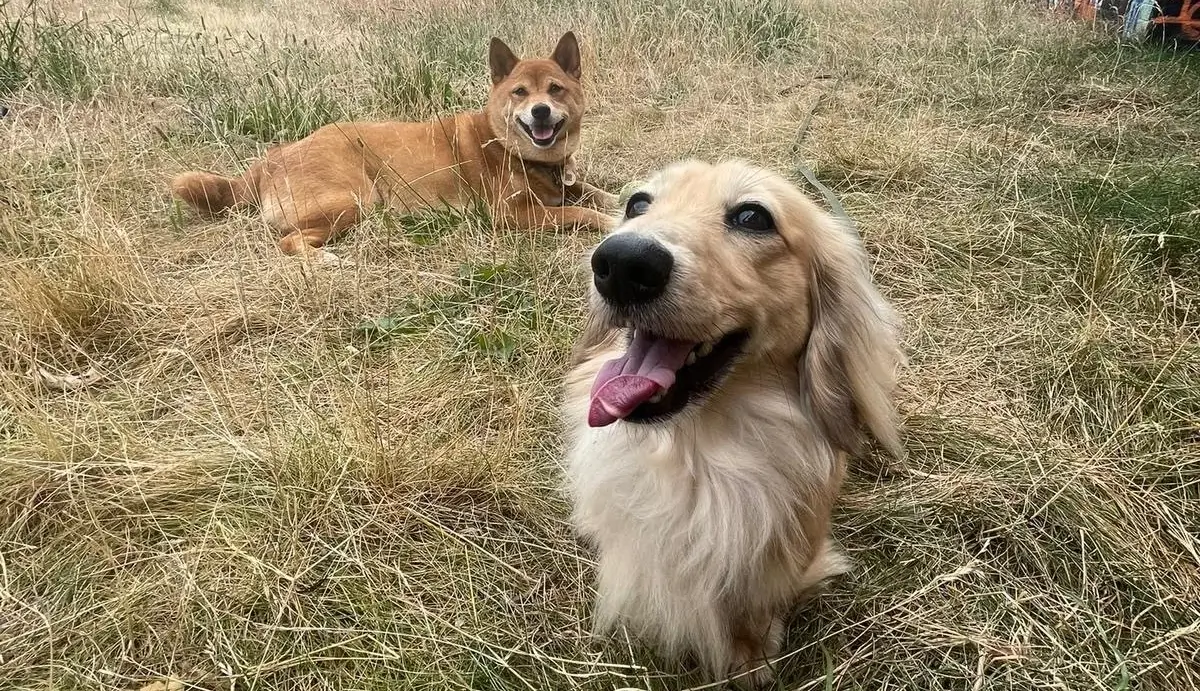 boarding fun
